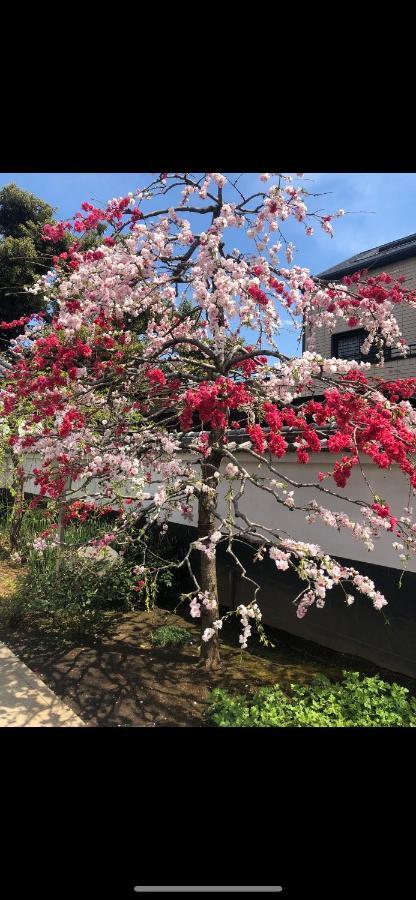 桜宿28 Square Meter King Size Bed With Sofa Bed, Garden Room 東京都 エクステリア 写真