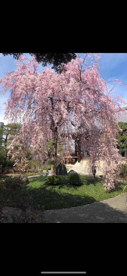 桜宿28 Square Meter King Size Bed With Sofa Bed, Garden Room 東京都 エクステリア 写真